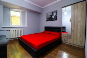 cozy apartments, in a green park area in the very center of the city